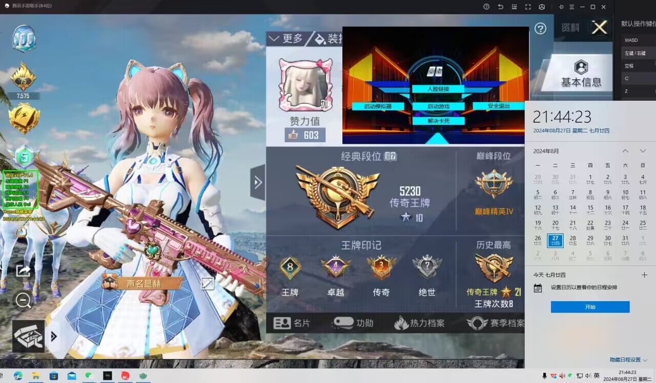 和平精英里的外挂怎么玩（和平精英全是外挂怎么玩）